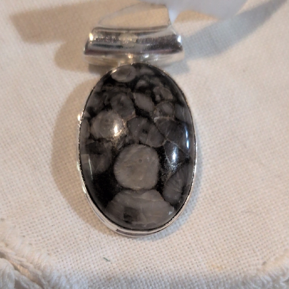 Sterling Silver Colus Fossil Stone Pendant Necklace